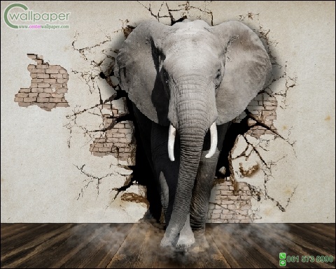 ภาพวิวสำเร็จรูป ภาพช้างทะลุกำแพง 3D