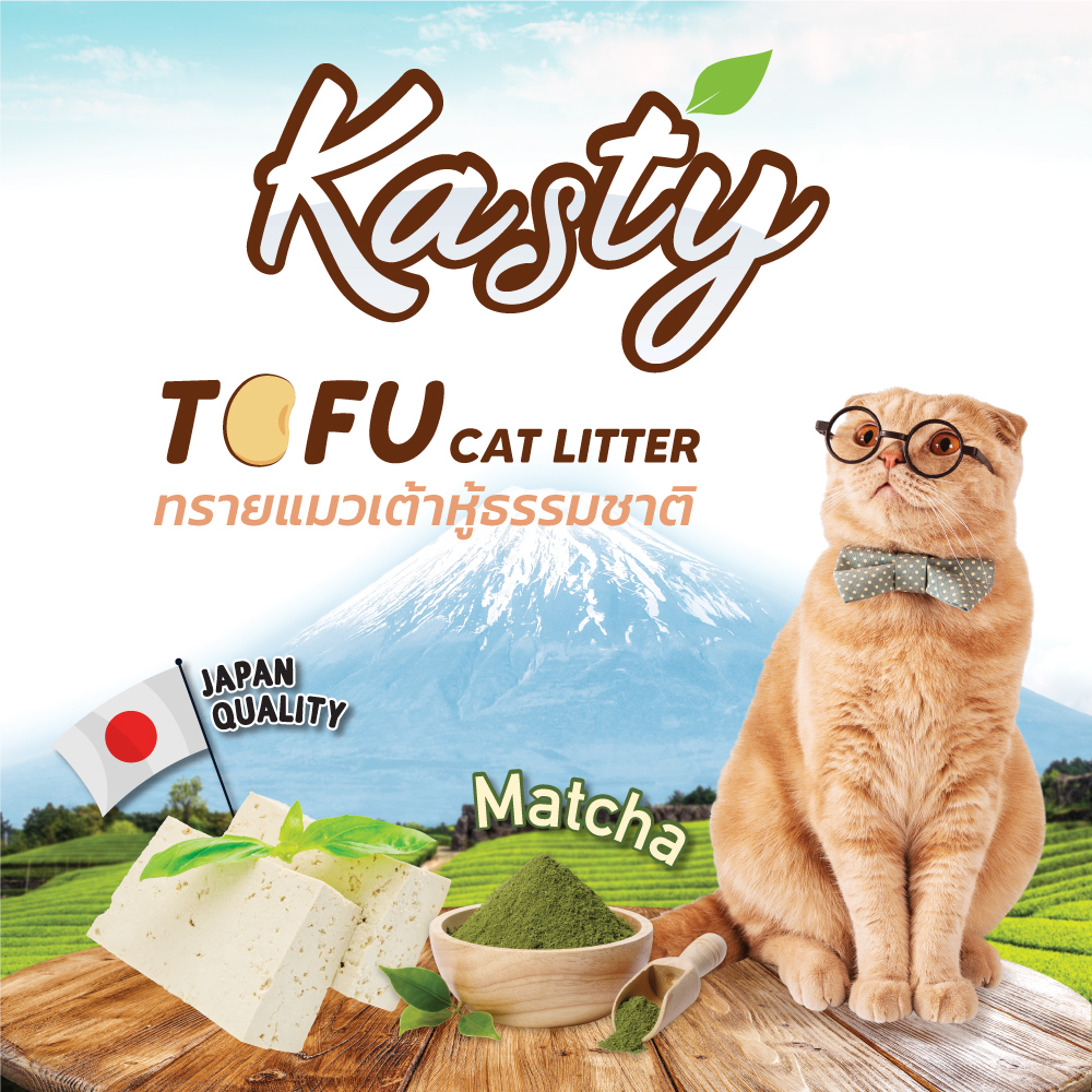 ขายส่งทรายแมวเต้าหู้ Kasty 6L. 168 บ.ที่ 6 ถุงรับหน้าร้าน ไม่รวมส่ง