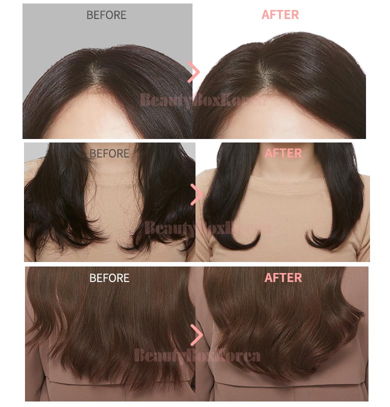 A'Pieu Easy Hair Dry Brush หวีไดร์ผม