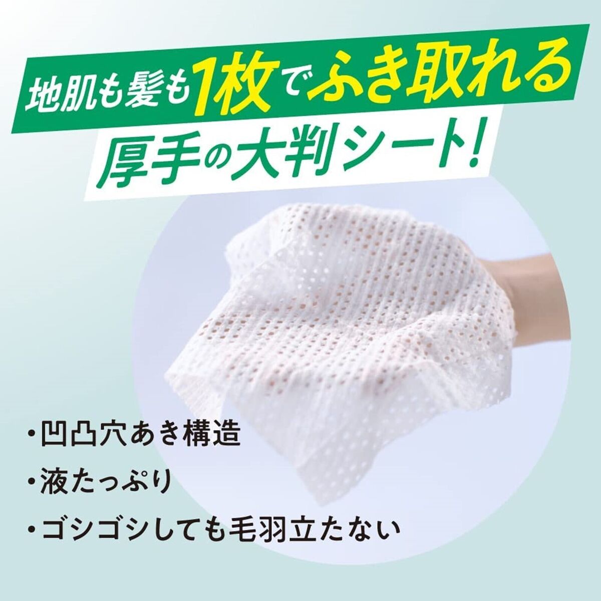 Kao Merit Day+ Dry Shampoo Sheet Refresh 12 แผ่น