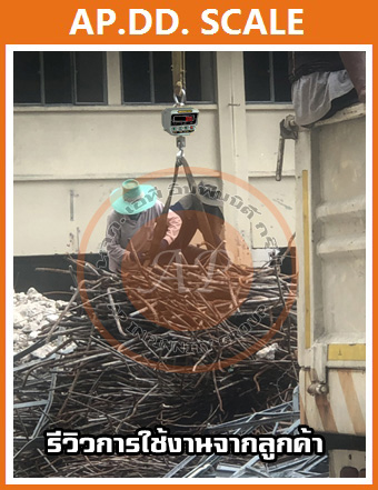 เครื่องชั่งแขวน 30000kg เครื่องชั่งแขวนดิจิตอล 30ตัน เครื่องชั่งแบบแขวน 30000kg ละเอียด 10kg ยี่ห้อ SDS รุ่น IDS108 Series 30000kg/10kg พร้อมรีโมทคอนโทรล