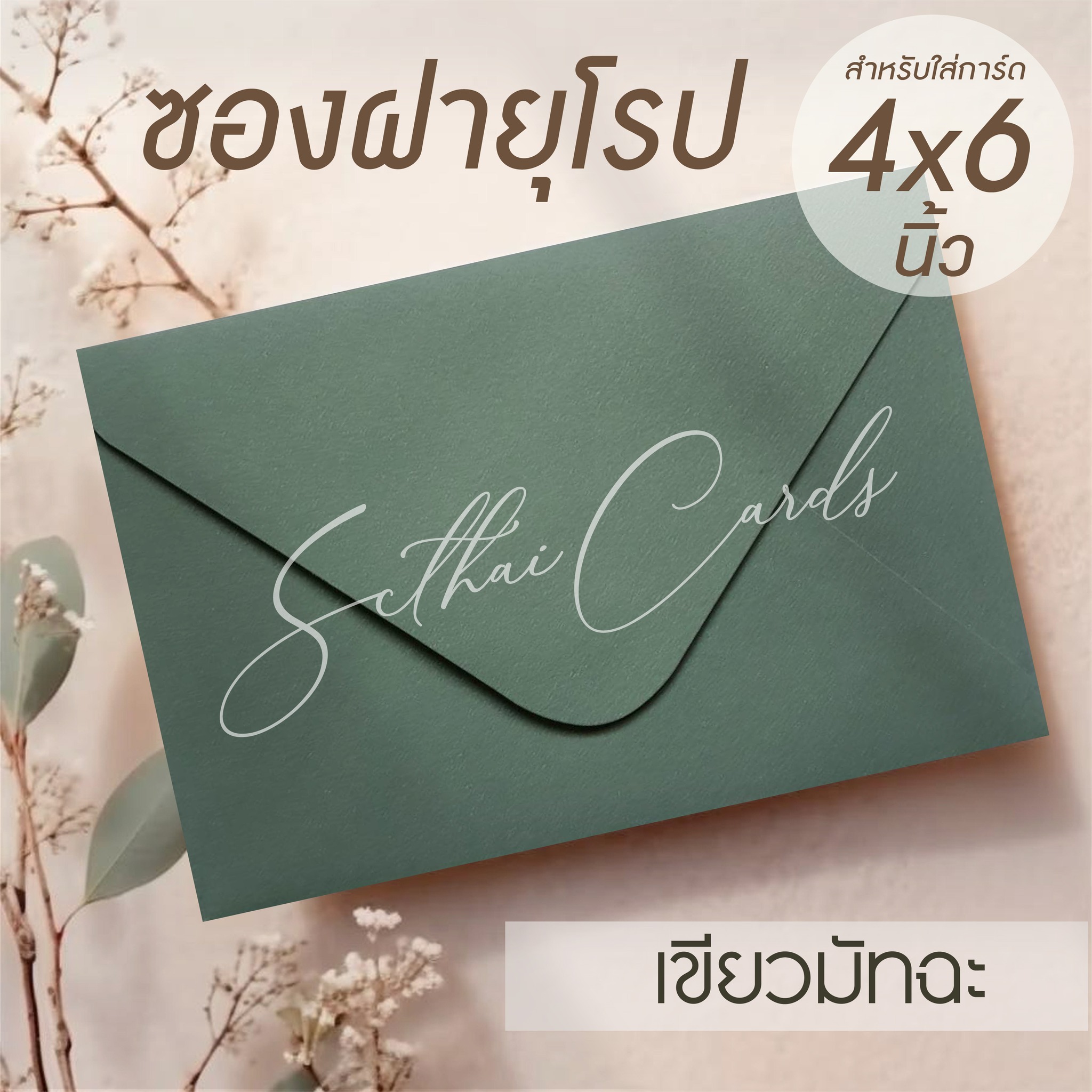 รหัสสินค้า : ซองเปล่า ทรงฝายุโรป-สีเขียวมัทฉะ