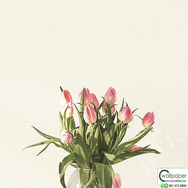 wallpaper สีขาวอมเทาอ่อนควันบุรี่ No.430-2