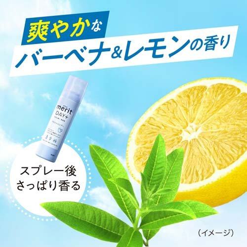 Kao Merit Day + Dry Shampoo Spray 130 g.