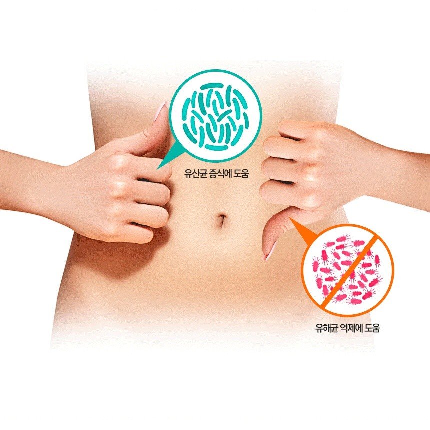 IL-YANG Premium Lacto Gold Probiotics 30 ซอง