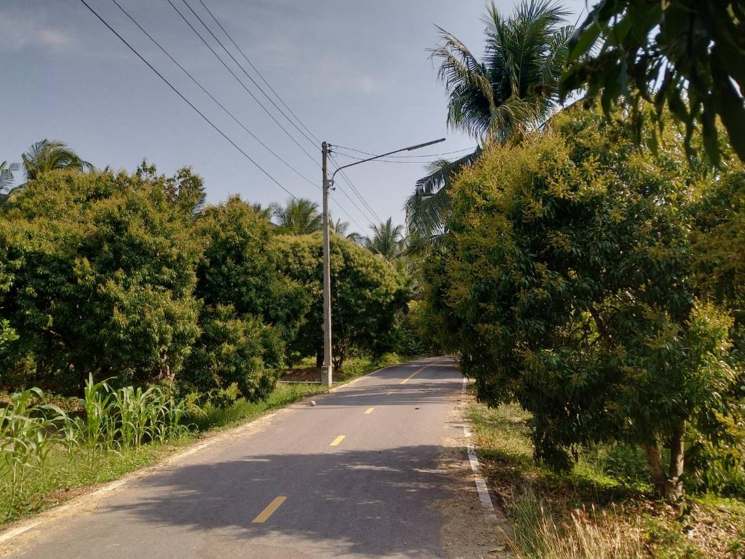 ขายที่ดินเป็นสวนส้มโอขาวใหญ่และลิ้นจี่ค่อม3ไร่ต.เหมืองใหม่อ.อัมพวาจ.สมุทรสงคราม