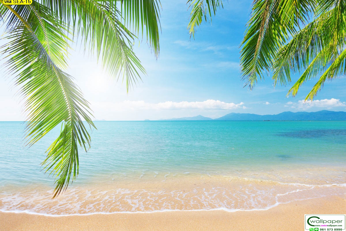 วอลเปเปอร์สั่งพิมพ์ภาพวิวทะเล SEA-15
