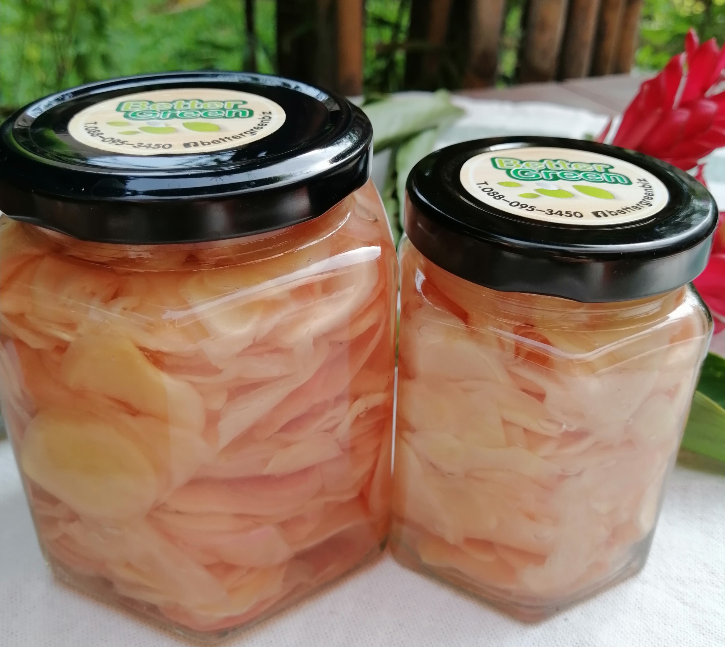ขิงอ่อนดอง(โพรไบโอติกส์) Pickled Young Ginger (probiotics)
