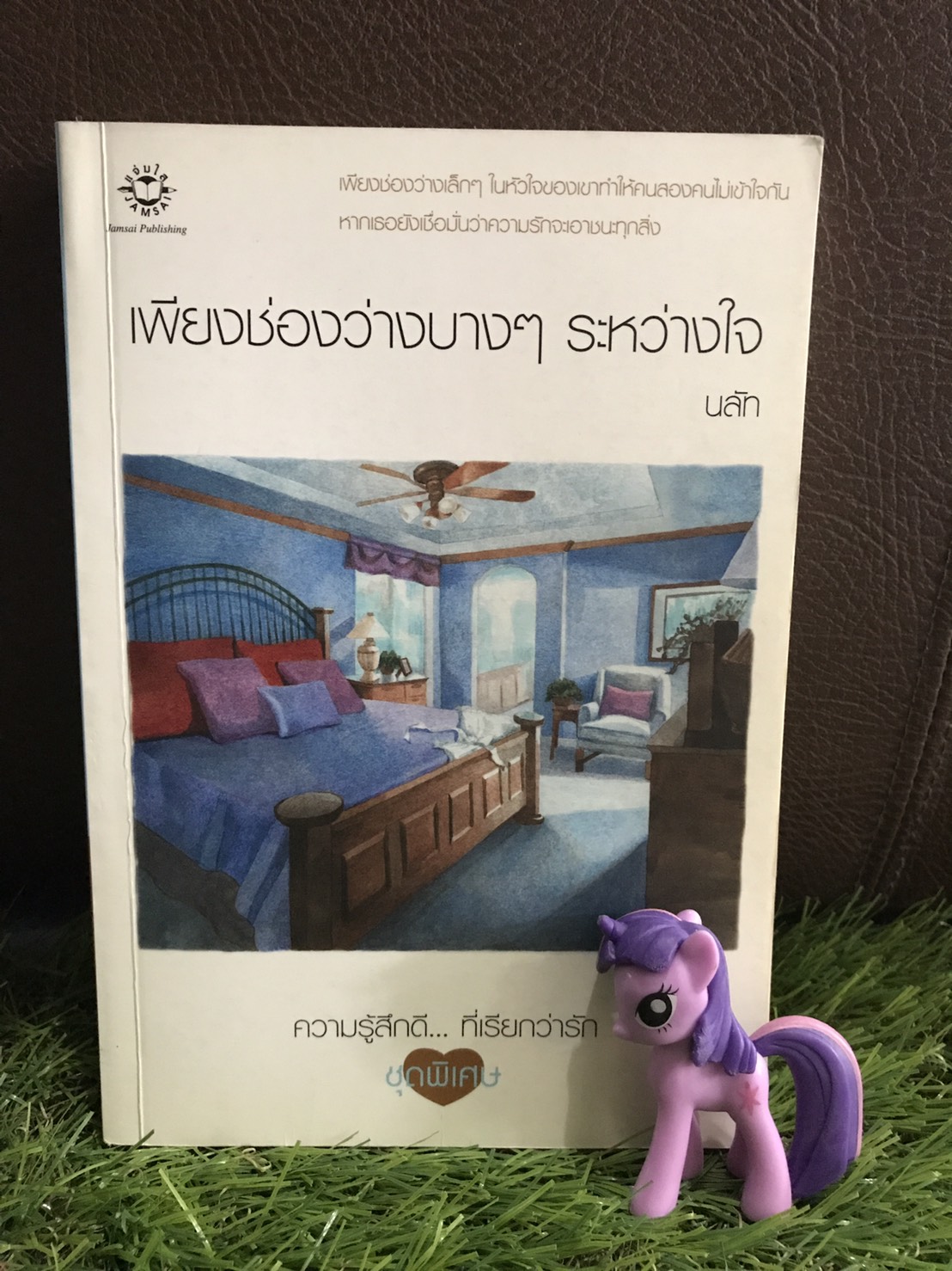 เพียงช่องว่างบางๆ ระหว่างใจ