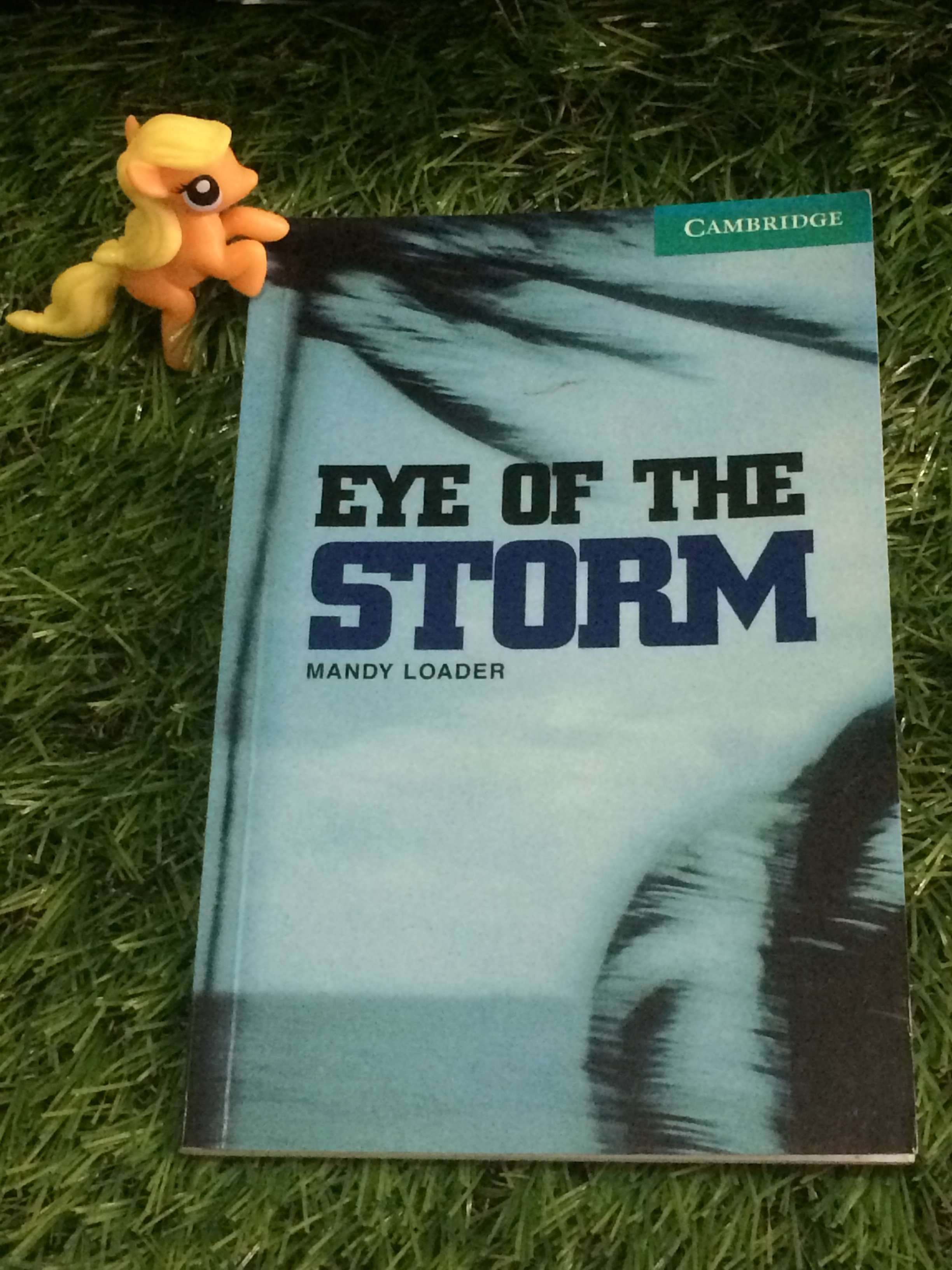 Eye of the Storm