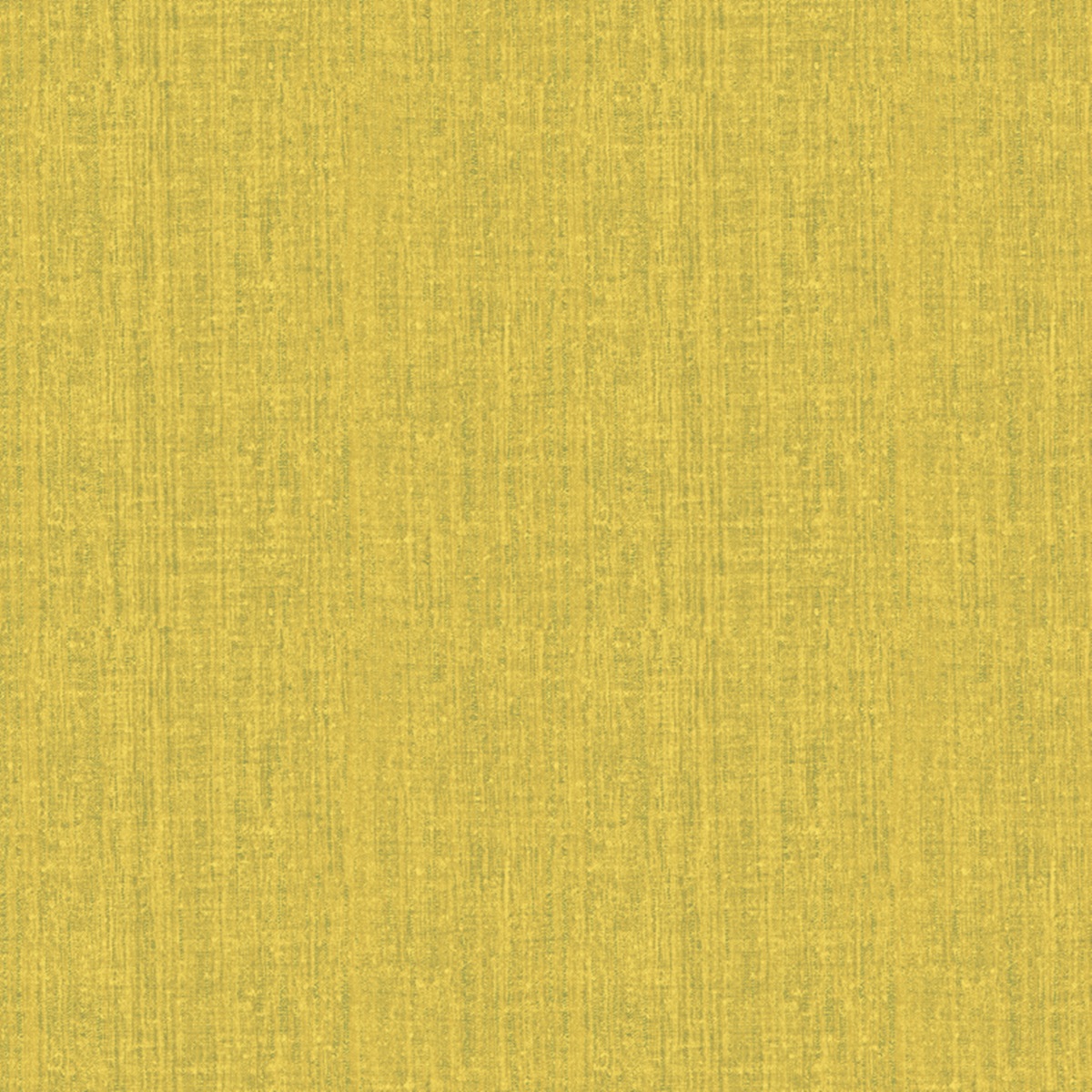 Casanova 77041