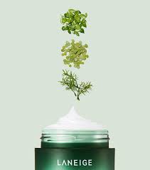 Laneige Special Care Cica Sleeping Mask 10 ml.