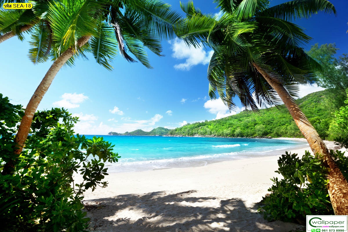 วอลเปเปอร์สั่งพิมพ์ภาพวิวทะเล SEA-18