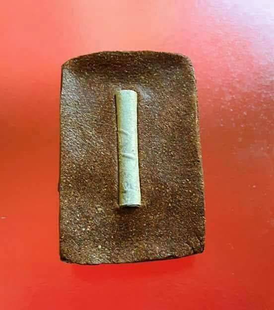 นางไม้พันชาติ หลวงปู่หนูจันทร์ ปุณโณ วัดพระธาตุสีแก้ว จ.ร้อยเอ็ด