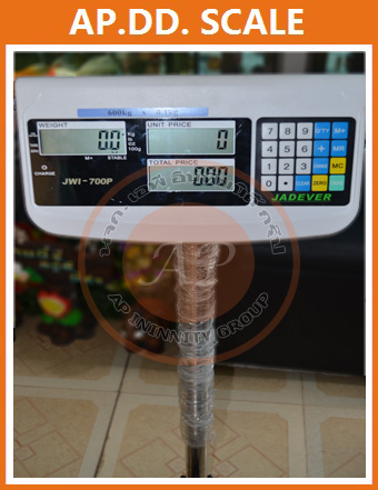 ตาชั่งดิจิตอล30kg เครื่องชั่งคำนวนราคา เครื่องชั่งแบบตั้งพื้น30kg ละเอียด0.005kg ยี่ห้อ JADEVER รุ่น JWI-700P ขนาดแท่น 30*40cm