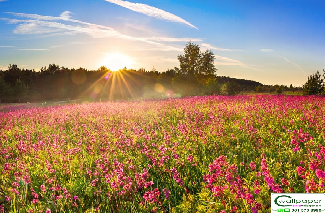 วอลเปเปอร์สั่งพิมพ์ลายดอกไม้ FLW-21