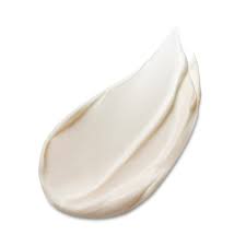 Estee Lauder Advanced Night Repair Overnight Treatment 65 ml.