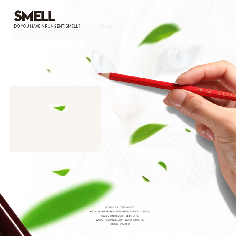 🌈⭐ดินสอสีไม้⭐🌈เครื่องเขียนสีไม้ 12 สี ✔️พร้อมส่งในไทย เสริมสร้างทักษะ ของเล่นเด็ก เครื่องเขียน