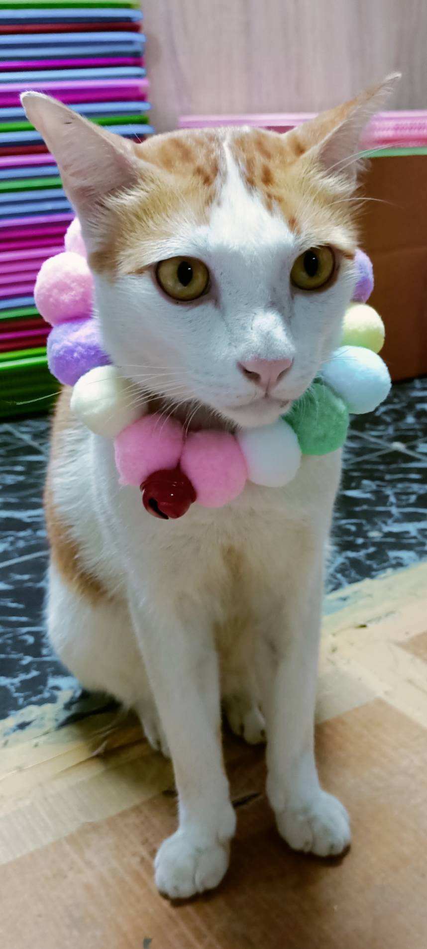 ðķðąāļāļĨāļāļāļāļ āļāļāļĄāļāļāļĄðāļāļĨāļāļāļāļāđāļĄāļ§ āļāļĨāļāļāļāļāļŠāļļāļāļąāļðāđāļĨāļ·āļāļāđāļāļĢāđāđāļĨāļ°āļŠāļĩ āđāļĢāļīāđāļĄāļāļīāđāļāļĨāļ° 19 āļāļēāļâïļāļāļĢāđāļāļĄāļŠāđāļ Ohwowshop āļāļĨāļāļāļāļāđāļĄāļ§ āļāļĨāļāļāļāļāļŠāļļāļāļąāļ āļāļĨāļāļāļāļāļāļāļĄ āļŠāļļāļāļāđāļēāļĢāļąāļ