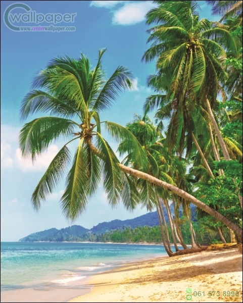 ภาพวิวสำเร็จรูป ภาพชายหาดเขตร้อน