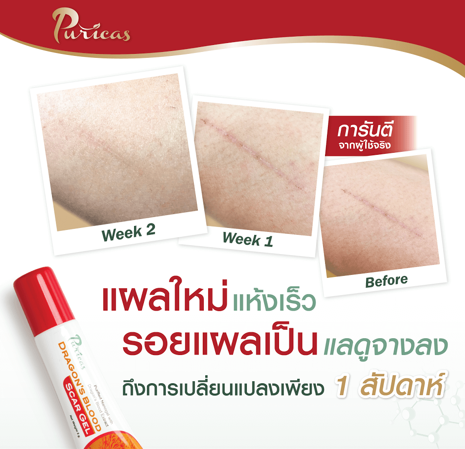 Puricas Dragon's Blood Scar Gel 3 g.