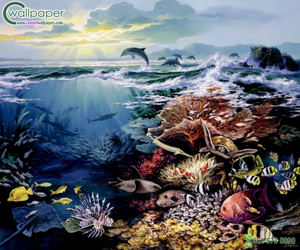 ภาพวิวสวยๆภาพปะการัง