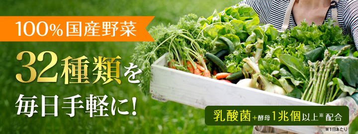 DHC Yasai Perfect Mixed Vegetable 60 Days 240 เม็ด