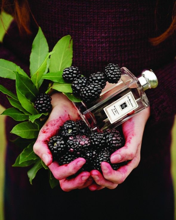 Jo Malone Cologne 9 ml #Blackberry & Bay