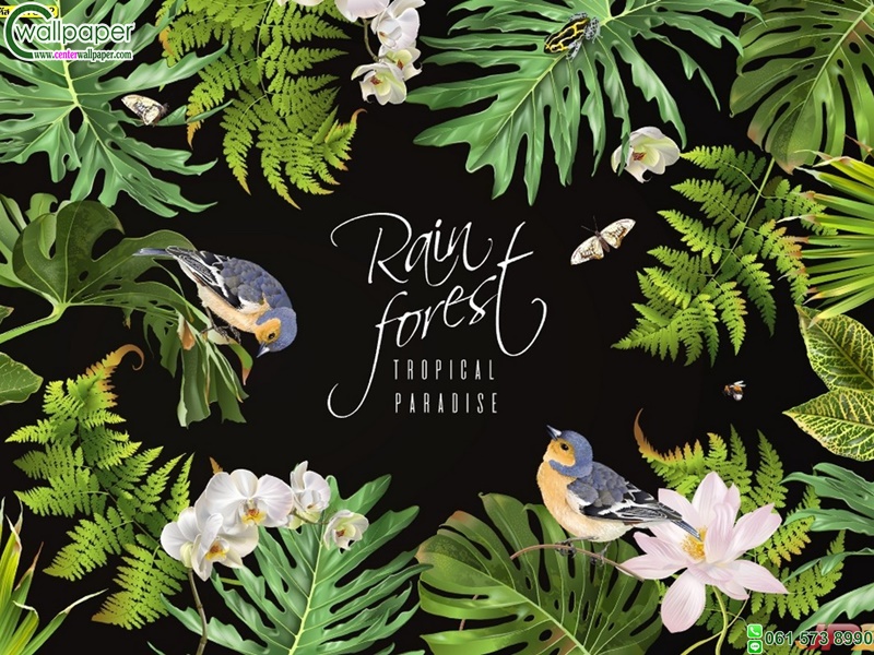 รวมวอลเปเปอร์ใบไม้สั่งผลิต