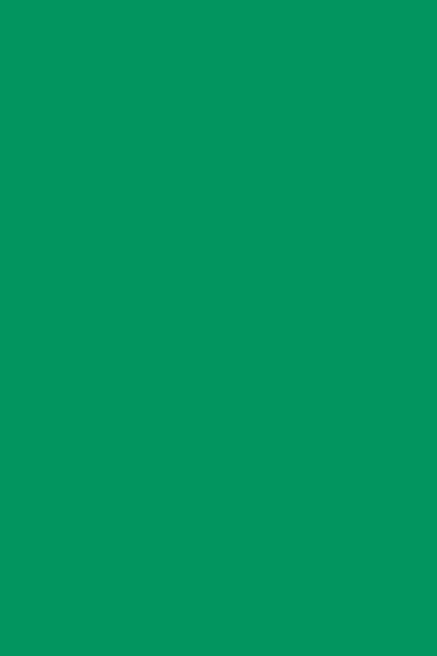 Solid Color SPL1033OM