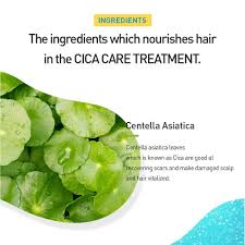 GRAFEN Cica Care Treatment 300 ml.