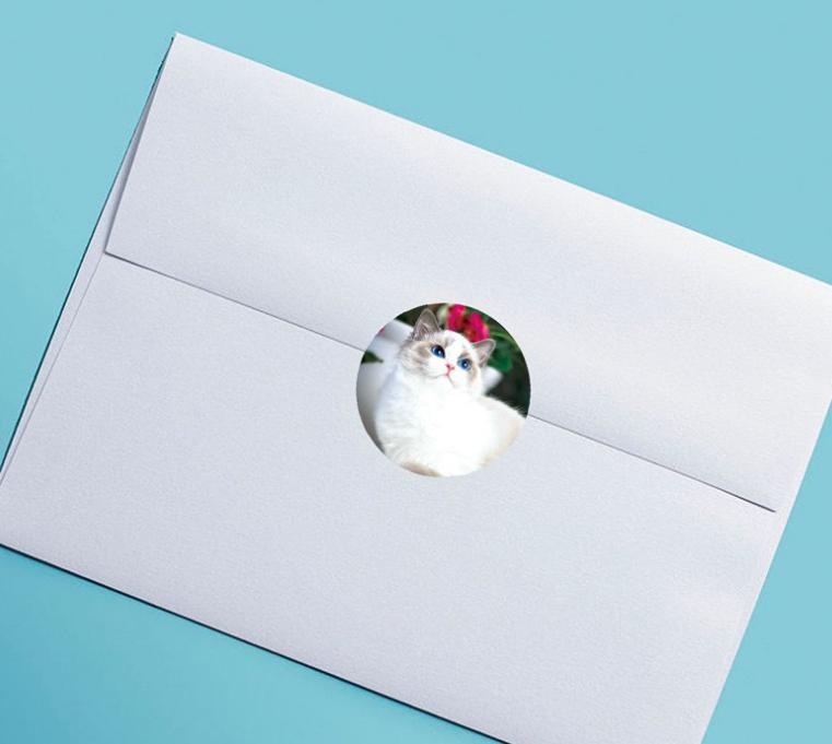 ⭐สติกเกอร์⭐วงกลมลายแฟนซีหลากสี 10 ดวง เส้นรอบวง2.5cm ยาว 27cm (📌เลือกแบบได้) ชิ้นละ 2 บาท✅พร้อมส่ง Ohwowshop สติ๊กเกอร์ ตัวเลข สินค้า ราคาถูก