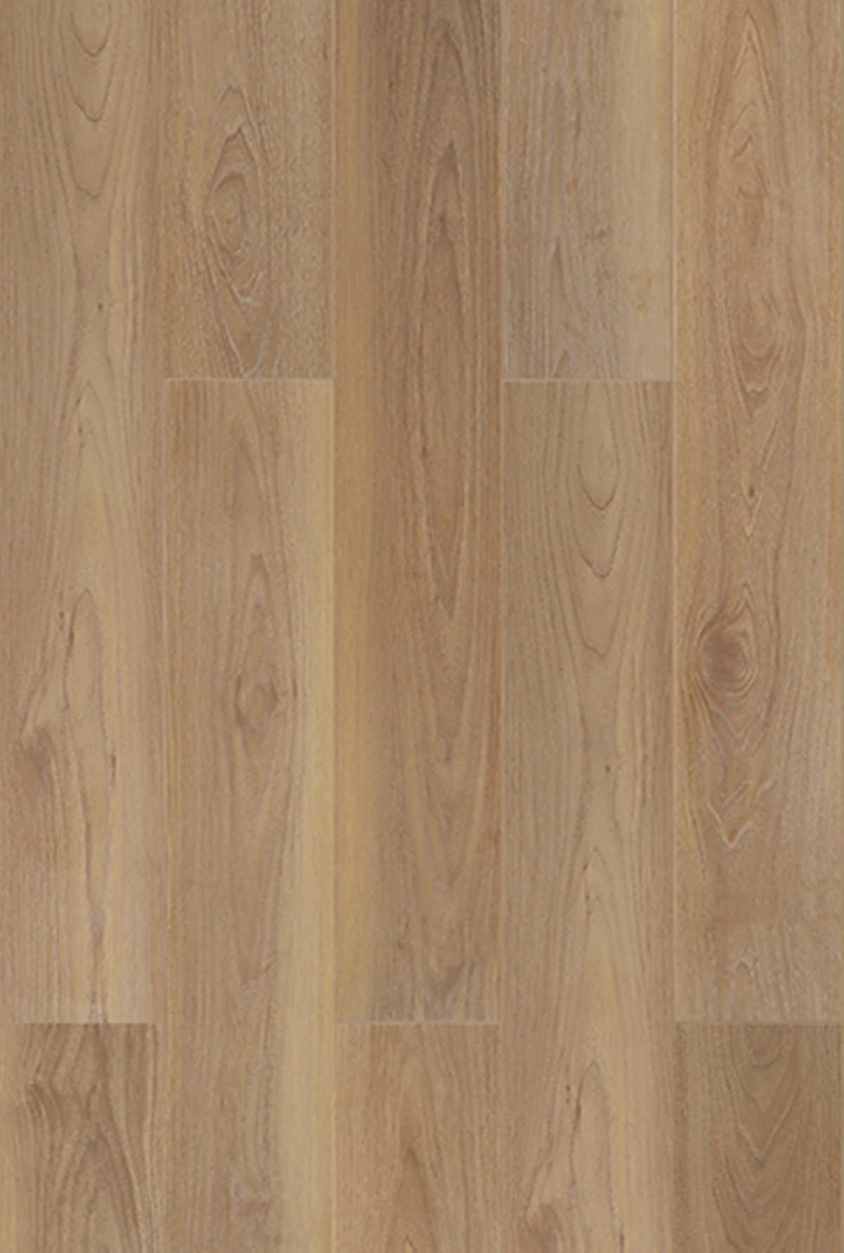 601 ICONIC OAK