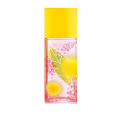 Elizabeth Arden Green Tea Mimosa EDT 100 ml.