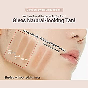 Etude House Contour Powder 5 g. #2 Inventor