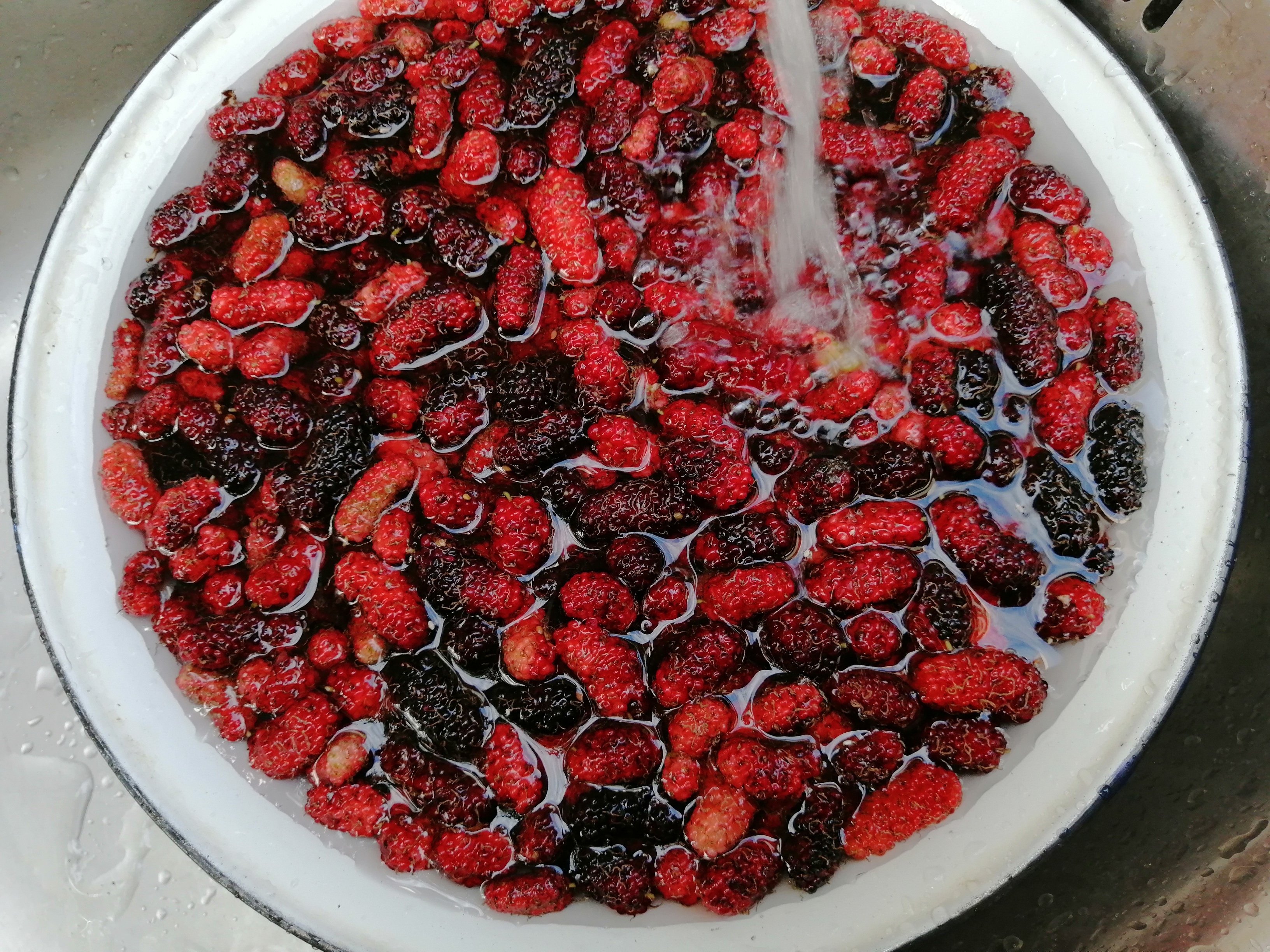 แยมโฮมเมดหม่อนมัลเบอร์รี่ 190g. Homemade Mulberry Jam