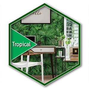 Tropical ความเขียวป่าไม้เขตร้อน tropocal wallpaper