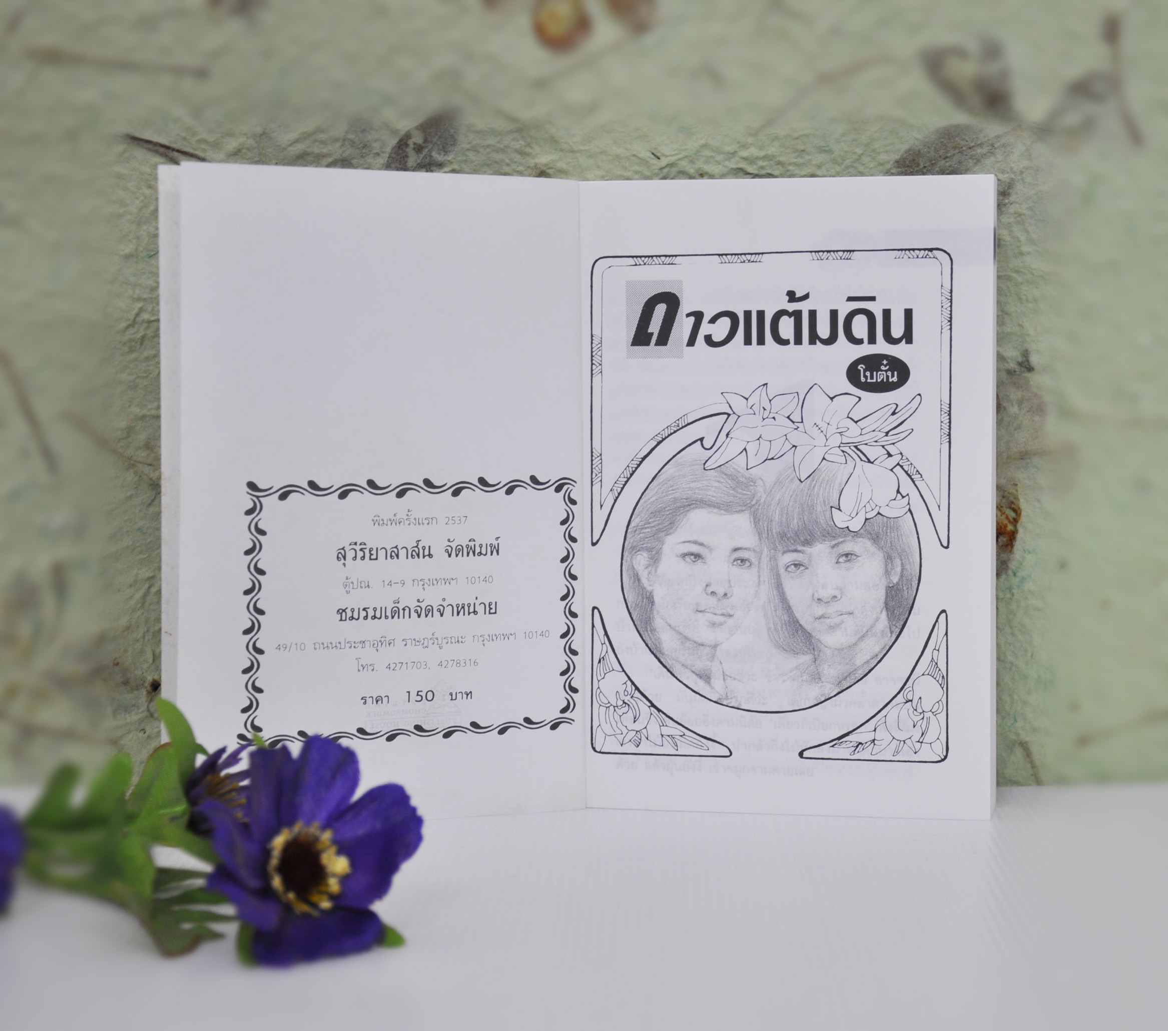 ดาวแต้มดิน ประพันธ์โดย โบตั๋น (2 เล่มจบ)