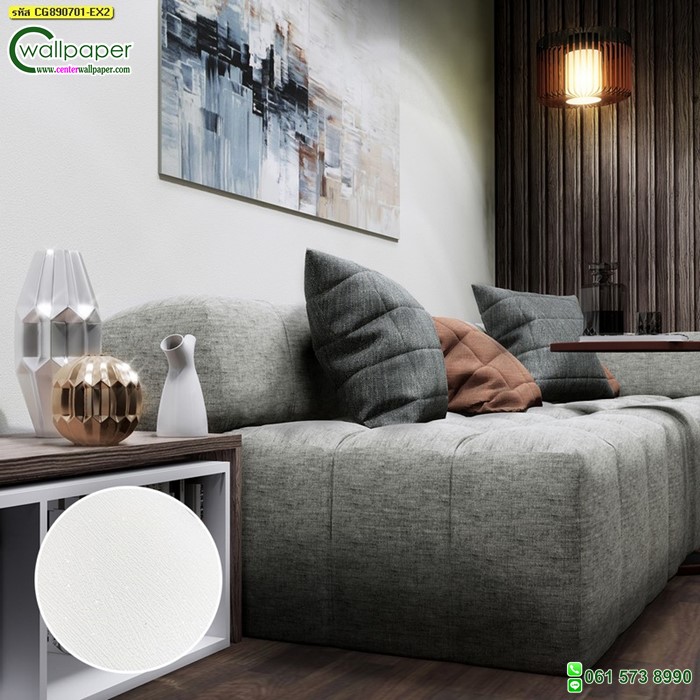 สีพื้น-CG890701-EX2
