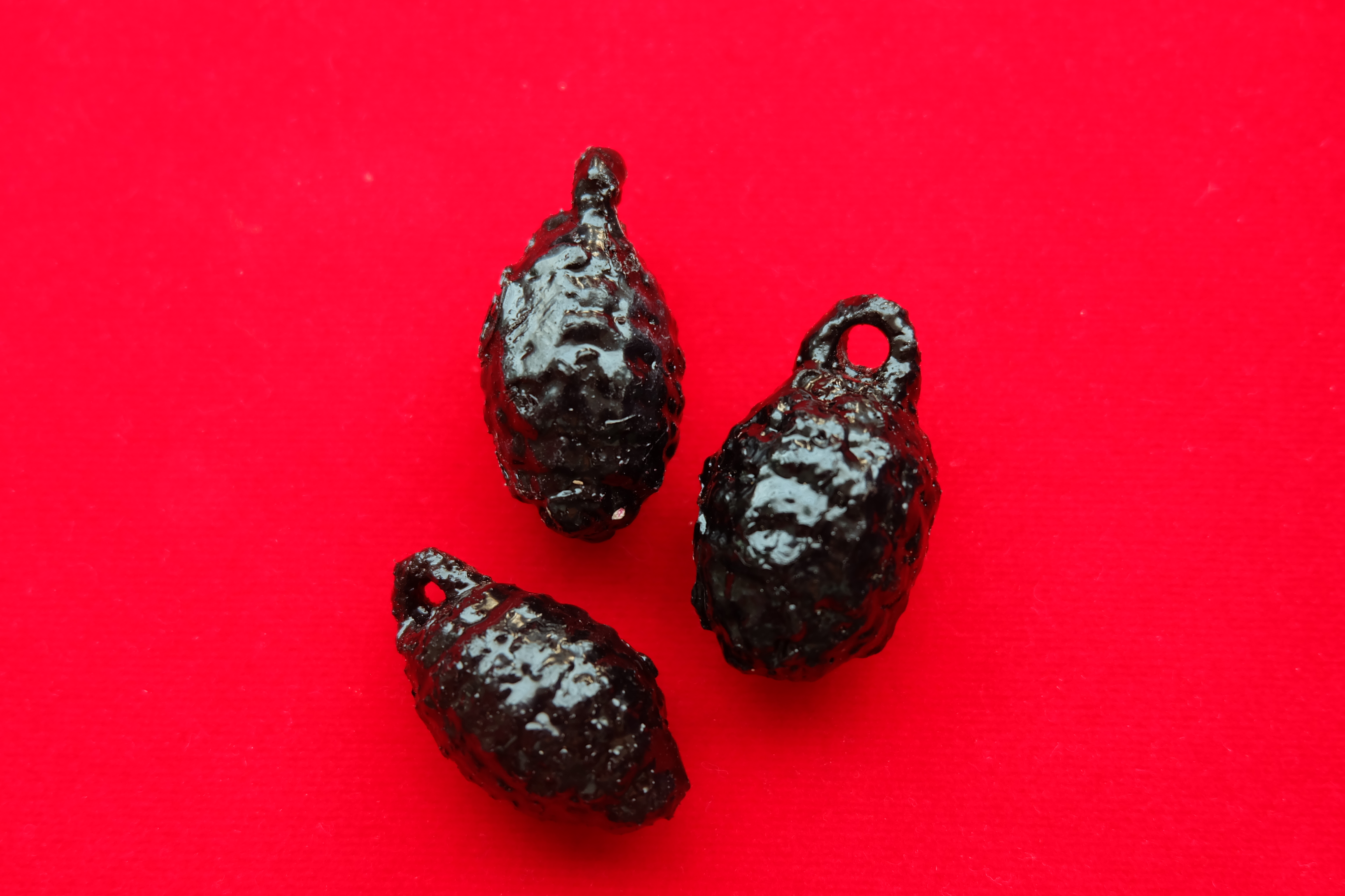 หมากทุย หลวงพ่อยศ อกิญจโน วัดป่าบ้านสังข์จ.ร้อยเอ็ด