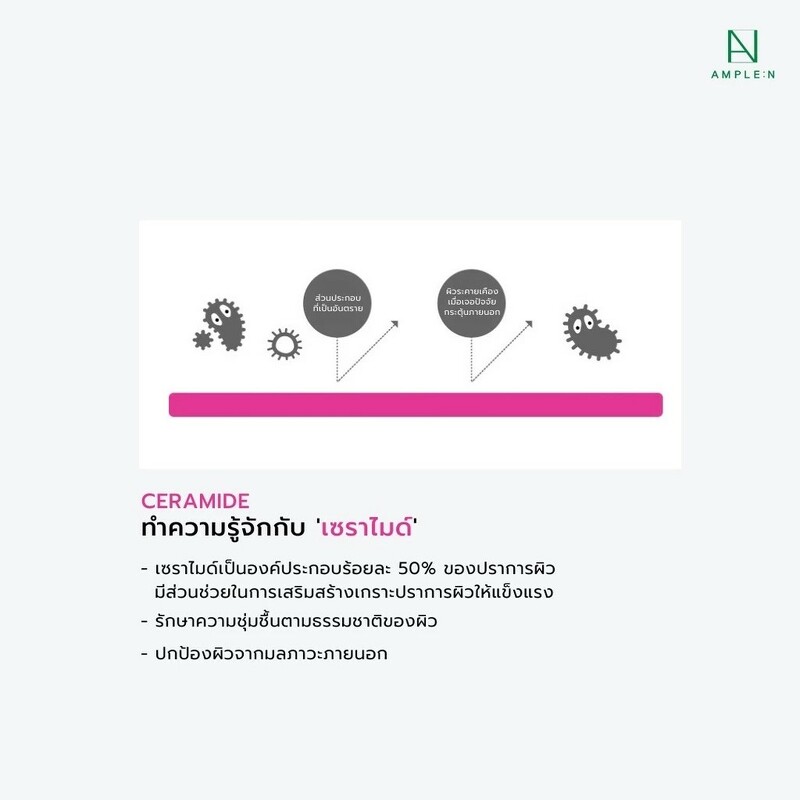 AMPLE : N Ceramide Shot Ampoule 30 ml.