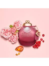 Coach New York Eau De Wild Rose Parfum Gift Set