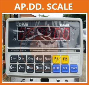 เครื่องชั่ง5000กิโลกรัม เครื่องชั่งน้ำหนัก5ตัน เครื่องชั่งวางพื้น5000kg ตาชั่ง5000kg CAS CI200A-5T ละเอียด500g ขนาดแท่นชั่งน้ำหนัก200x200cm.(MADE IN KOREA)