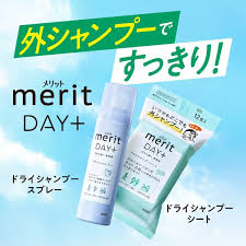 Kao Merit Day+ Dry Shampoo Sheet Refresh 12 แผ่น