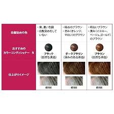 Shiseido Prior Color Conditioner 230 g. #Gray