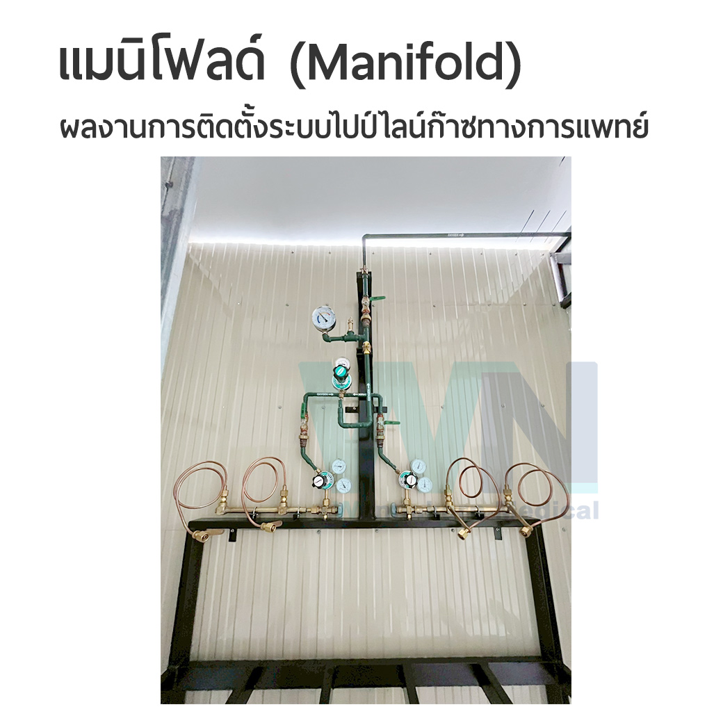 แมนิโฟลด์ (Manifold) คลินิกรักษาสัตว์ เดอะ เฟิร์ส พอว์ จ.นนทบุรี