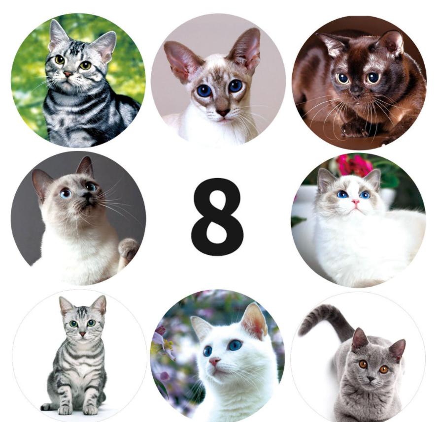 🔥สติกเกอร์🔥วงกลมลายแฟนซีหลากสี 500ดวง แบบม้วน(25mm)ยาว13.2m(📌เลือกแบบสินค้าได้) ชิ้นละ 13 บาท✅พร้อมส่ง Ohwowshop สติ๊กเกอร์ ตัวเลข สินค้า ราคาถูก