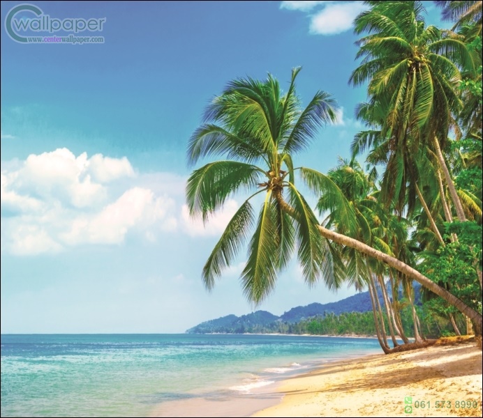 ภาพวิวสำเร็จรูป ภาพชายหาดเขตร้อน