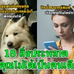 18 สิ่งประหลาด ที่คุณไม่ได้เป็นคนเดียว!!