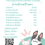 ขอเชิญมารับบริการตรวจสุขภาพดูแลสุนัขและแมวของท่านค่ะ